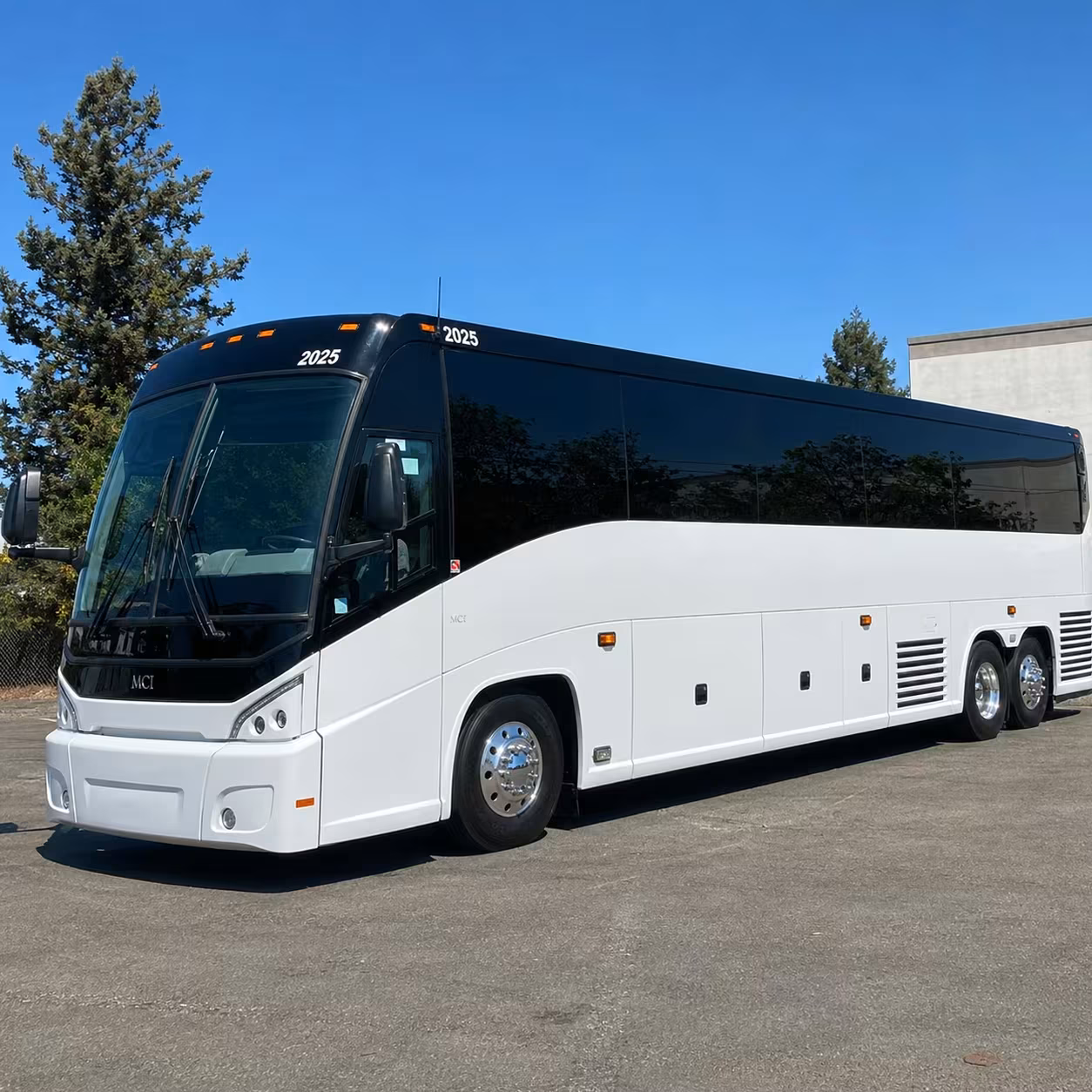 56 passenger charter bus